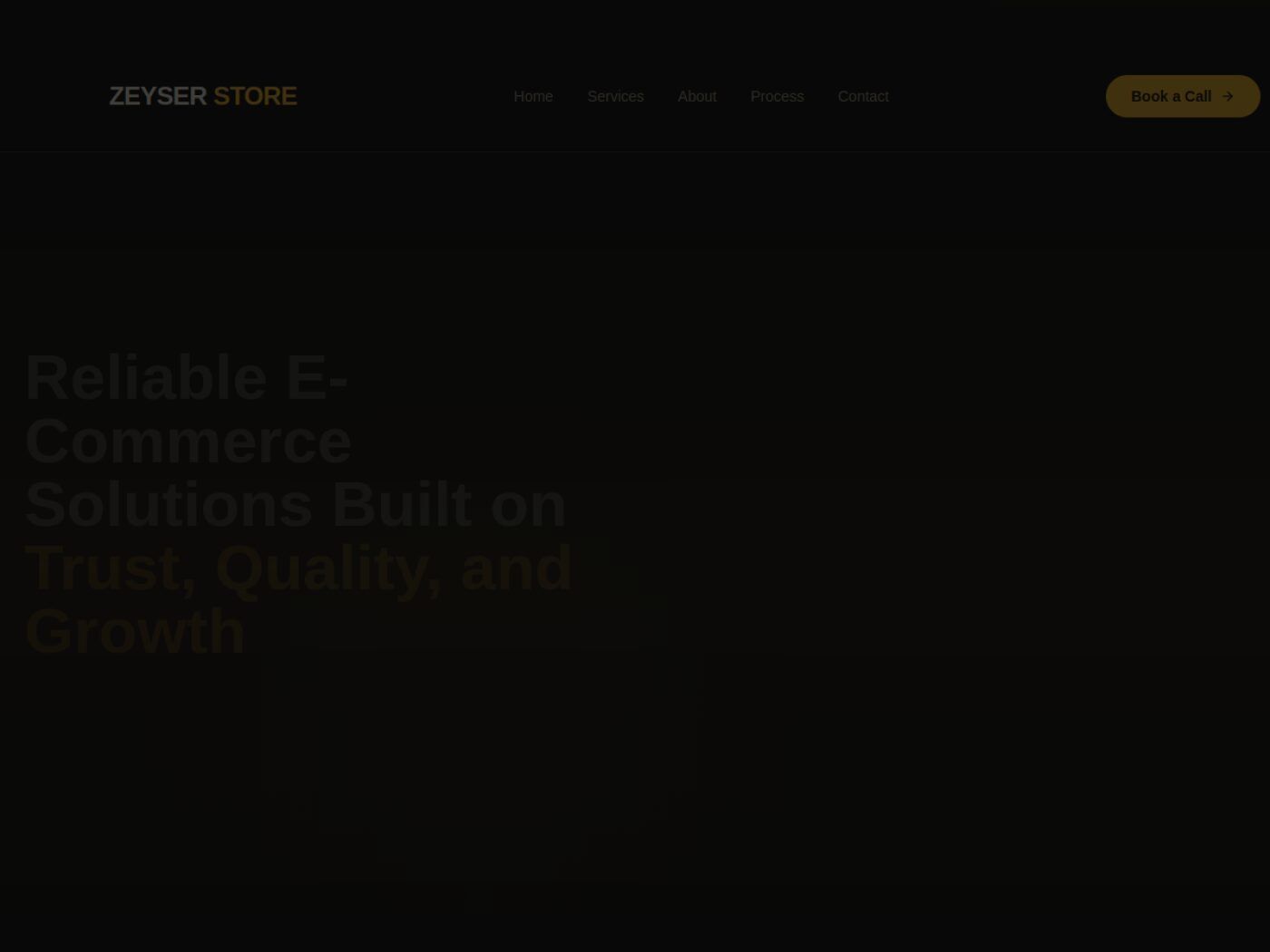 Zeyser Store website